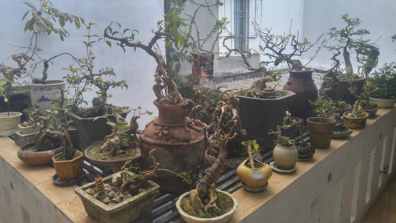 Rong Homestay Quy Nhon Buitenkant foto